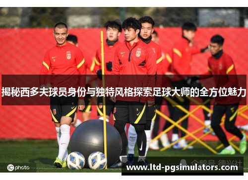 揭秘西多夫球员身份与独特风格探索足球大师的全方位魅力