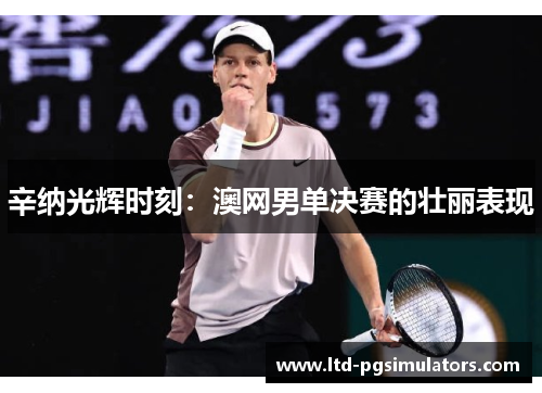辛纳光辉时刻：澳网男单决赛的壮丽表现