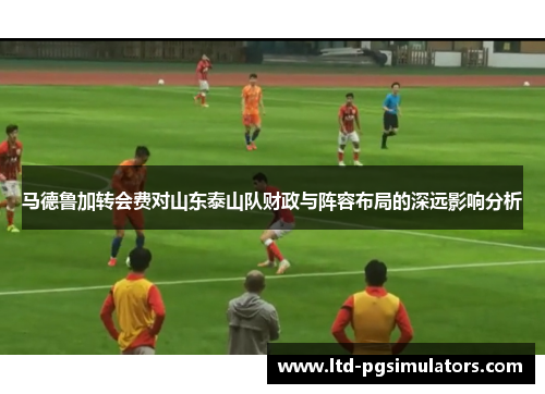 马德鲁加转会费对山东泰山队财政与阵容布局的深远影响分析